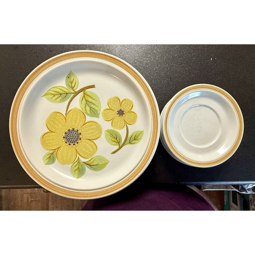 ROYAL DOULTON SUMMER DAYS DINNER PLATES LOT OF 7 Big & Small Plates! Adorable!
